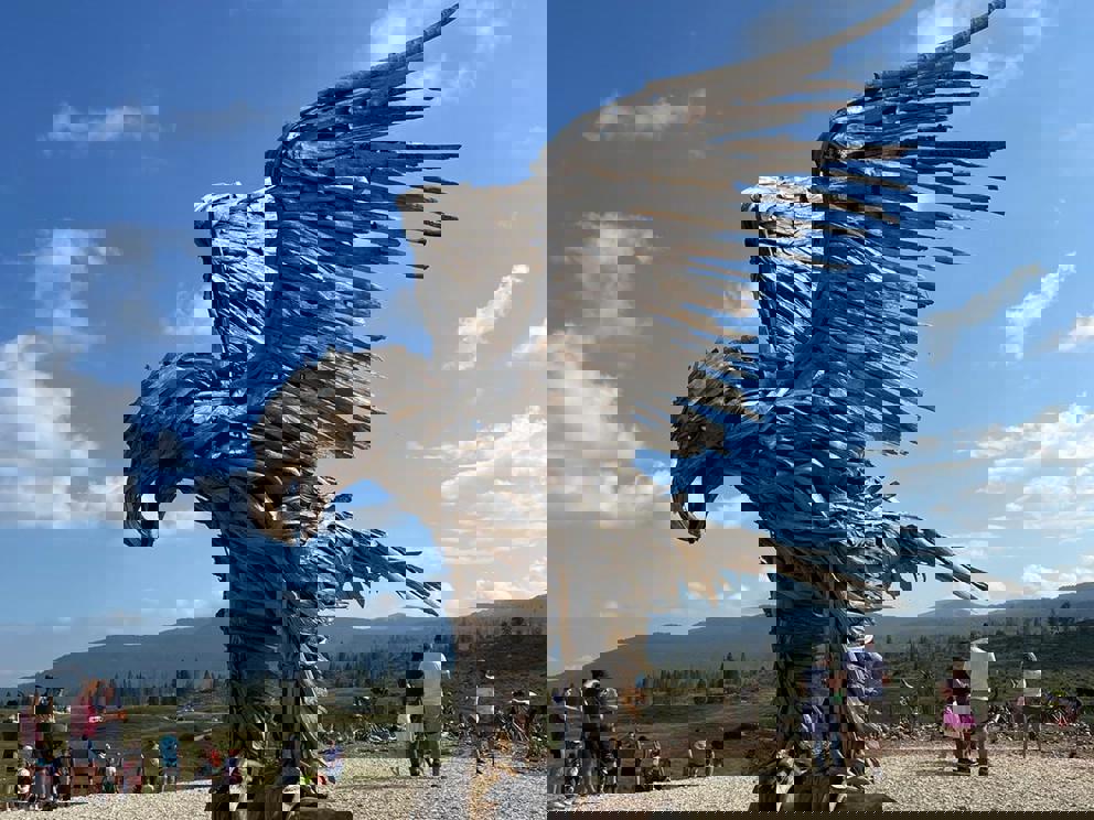 LAZZAROTTO FRANCO - Aquila di Vaia 