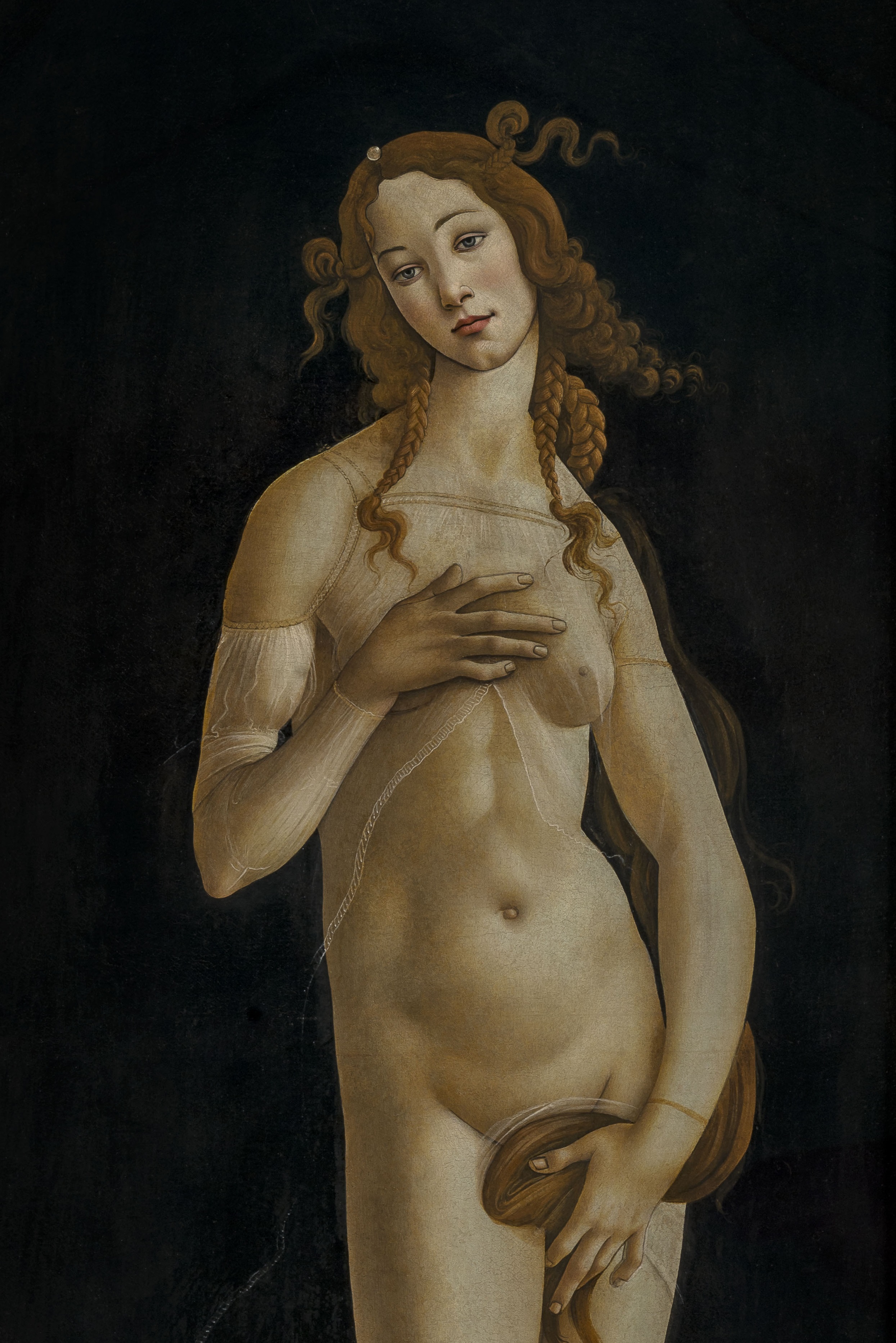 Botticelli Venere