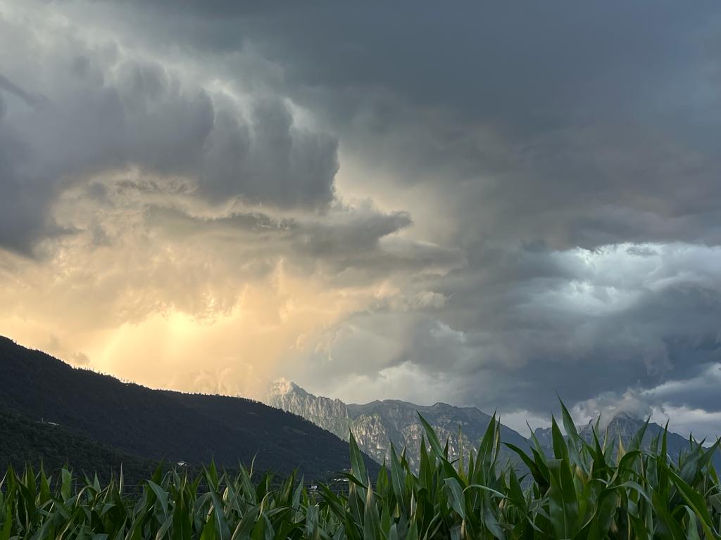 FRANCESCO SIMONETTO - “Energia di un giorno d'estate” 