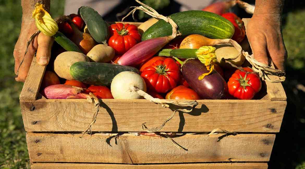 9. SETTEMBRE BOTTINO Davide Moggio