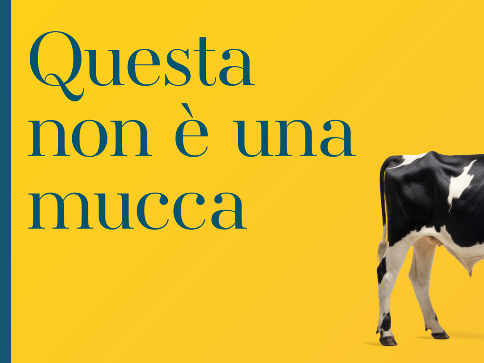 Ogni cosa è molto più di quel che appare