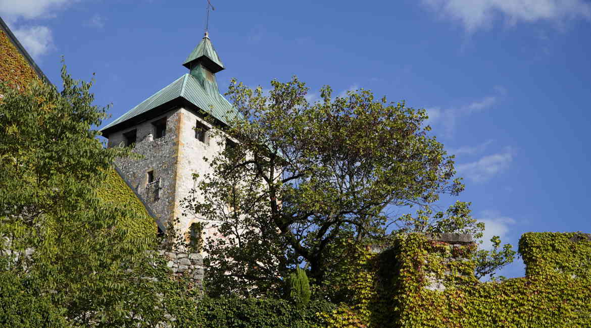 DSC0120