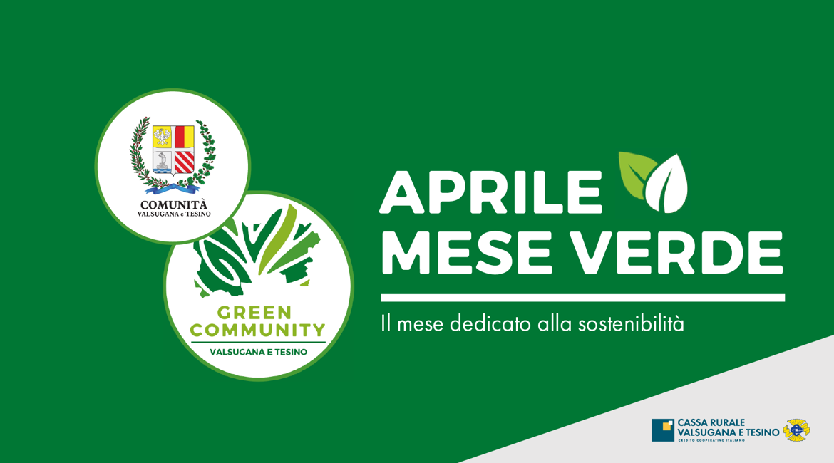 Visual DS MESE VERDE