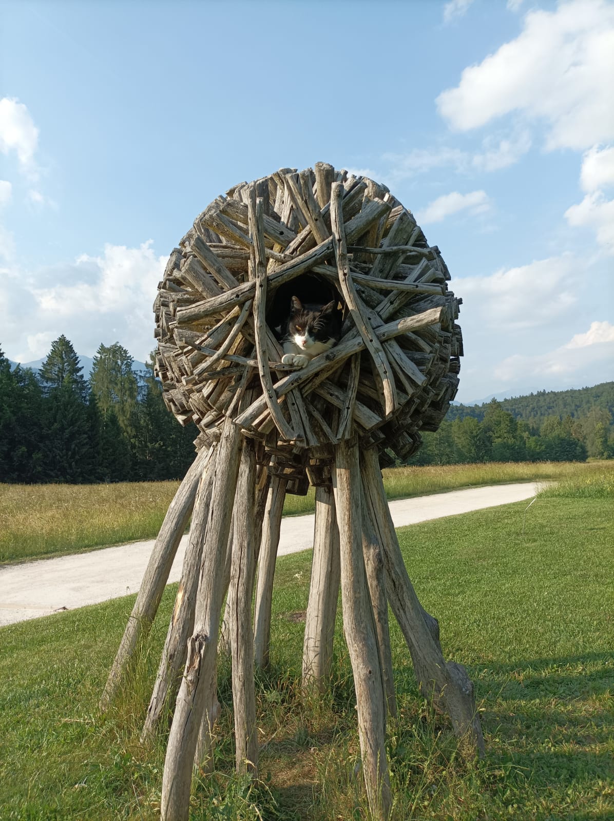 Una nostra socia - l' Arte è per tutti 