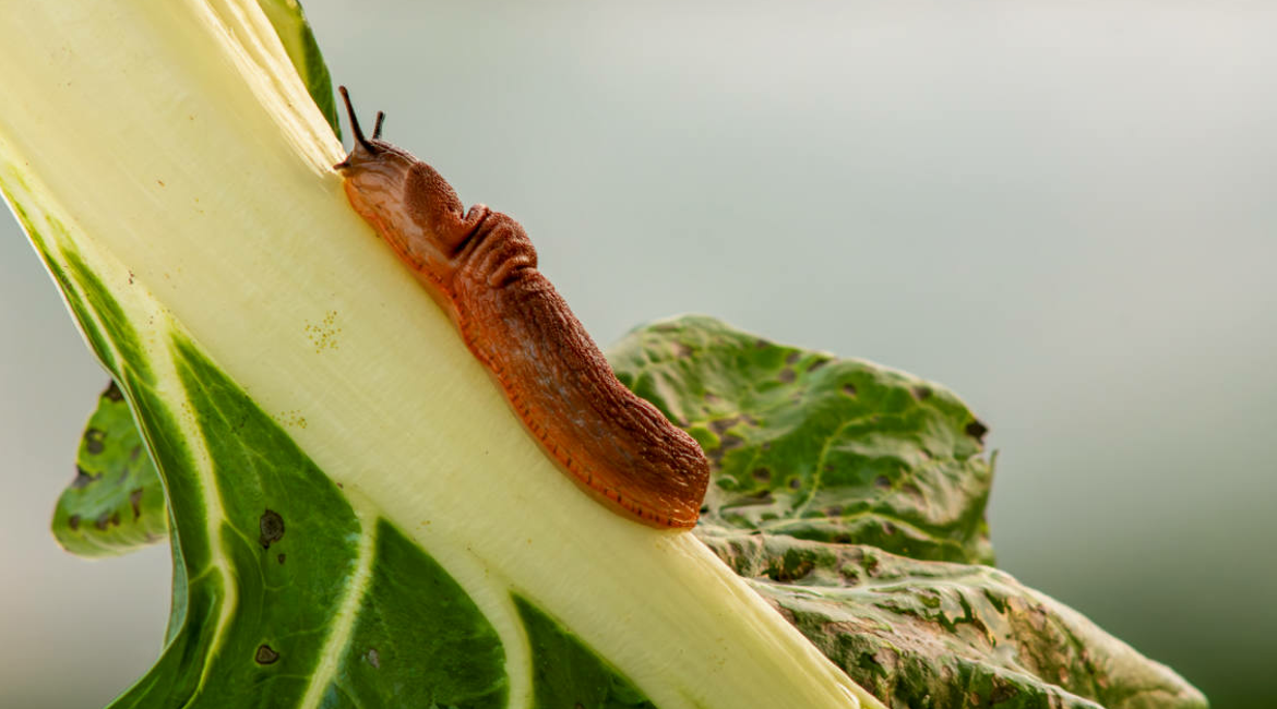 Screenshot 2025 12 01 145337