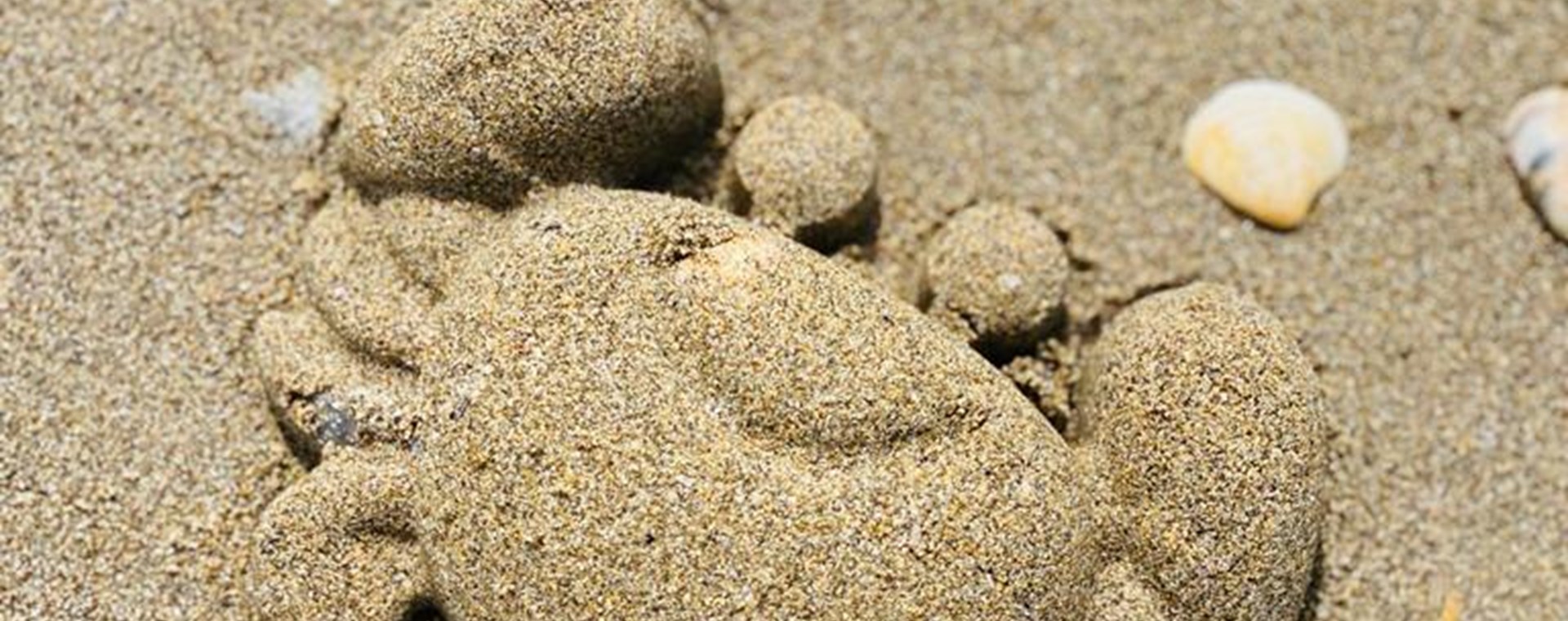 3 POSTO NADIA BERTI - Formine nella sabbia 