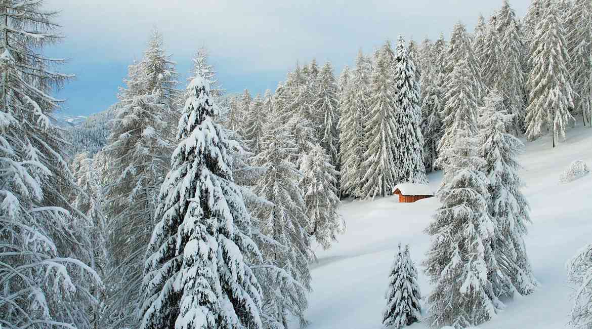 2.Paesaggio Innevato