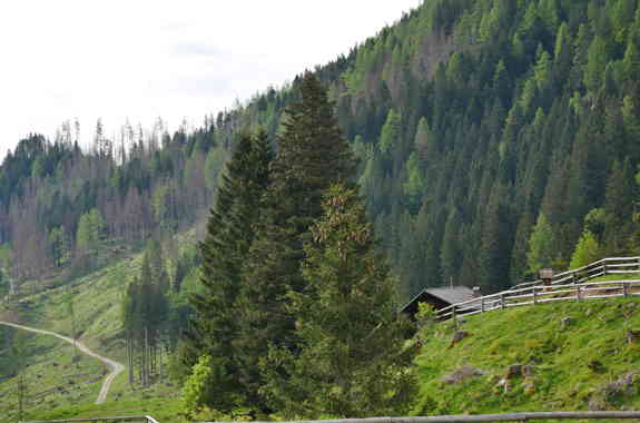 P1210162