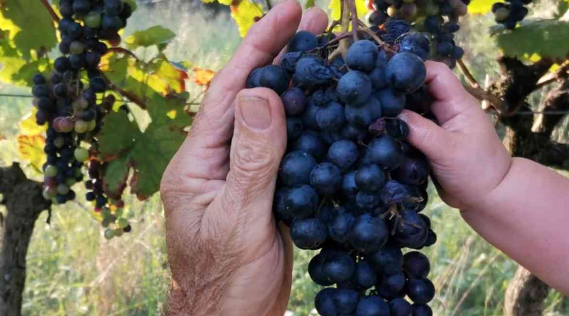 10. OTTOBRE EREDITA' CULTURALE E COLTURALE Paola Minati